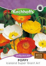 POPPY ICELAND SUPER GIANT ART SEEDS