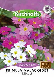 PRIMULA MALACOIDES MIXED SEEDS