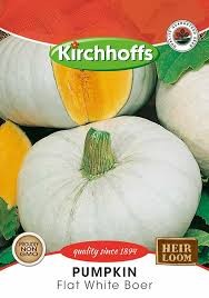 PUMPKIN FLAT WHITE BOER SEEDS