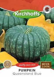 PUMPKIN QUEENSLAND BLUE SEEDS