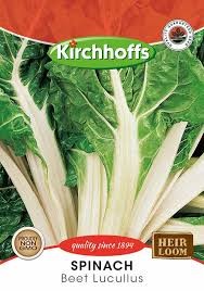 SPINACH BEET LUCULLUS SEEDS