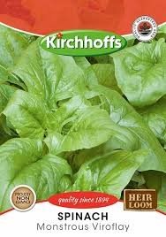 SPINACH MONSTROUS VIROFLAY SEEDS