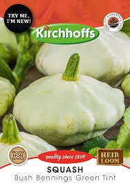 SQUASH BENNINGS GREEN TINT SEEDS