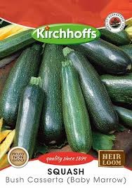 SQUASH BUSH CASERTA (BABY MARROW) SEEDS