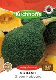 SQUASH GREEN HUBBARD SEEDS