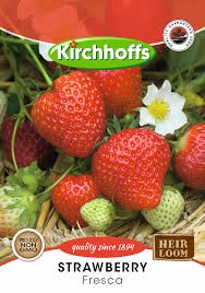 STRAWBERRY FRESCA SEEDS