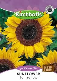 SUNFLOWER TALL YELLOW SEEDS
