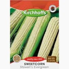 SWEETCORN STOWELL'S EVERGREEN SEEDS