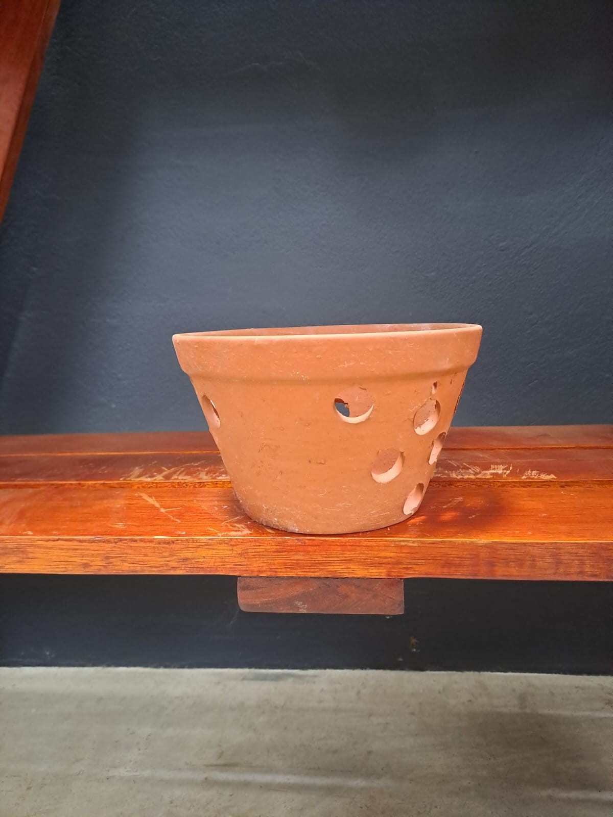 TERRACOTTA ORCHID POT 19X12