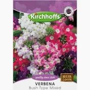 VERBENA BUSH TYPE MIXED SEEDS