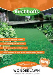WONDERLAWN - DICHONDRA 1m² SEEDS