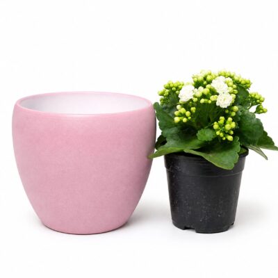 INDOOR COVER TAPERED POT 20CM