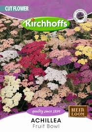 ACHILLEA FLOWER BURST FRUIT BOWL MIX SEEDS
