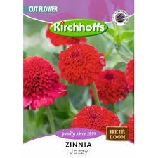 ZINNIA JAZZY MIXED SEEDS
