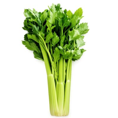 CELERY 6 PACK