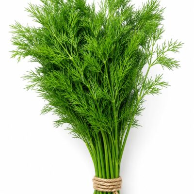DILL 6 PACK