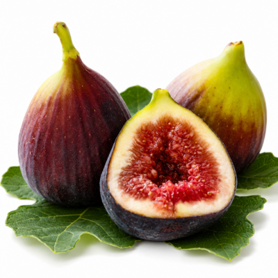 FIG FRUIT TREE 10LT