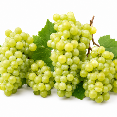 GRAPE VINE 10LT