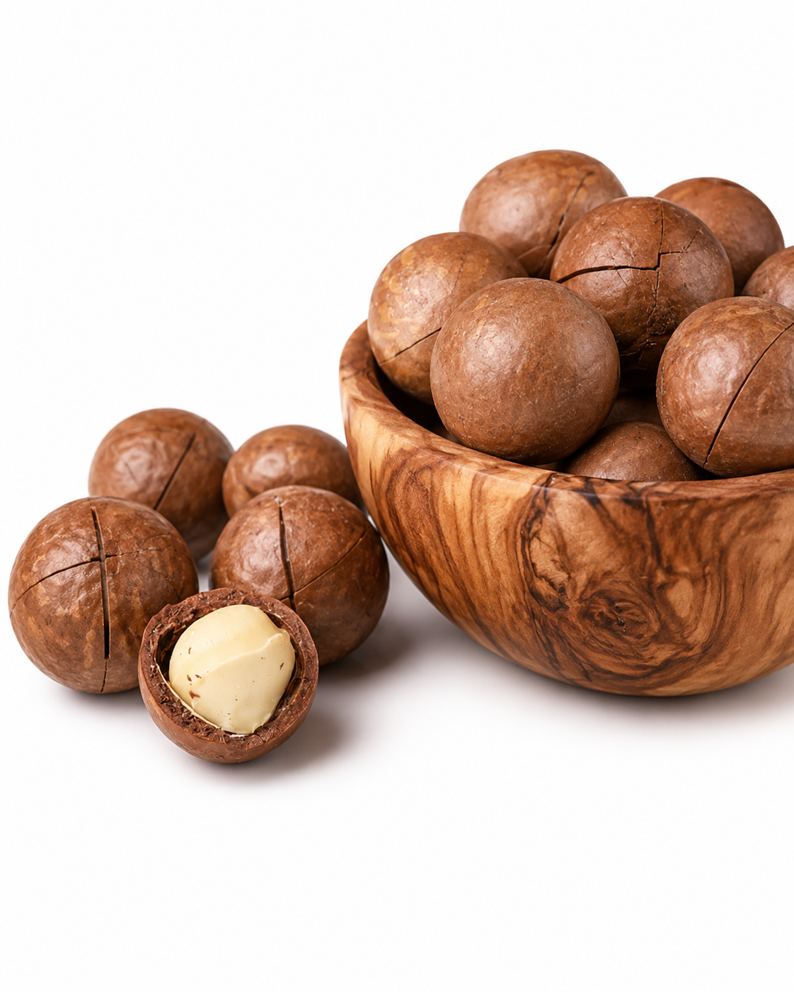 MACADAMIA FRUIT TREE 10LT