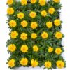 MARIGOLD VARIOUS 30 PACK