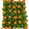 MARIGOLD VARIOUS 30 PACK - Image 2