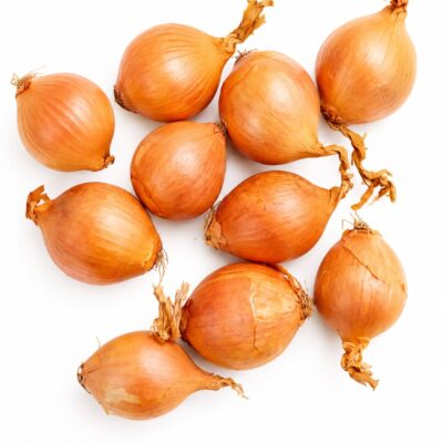 ONION 6 PACK SEEDLING