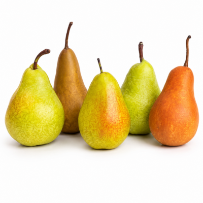 PEAR FRUIT TREE 10LT