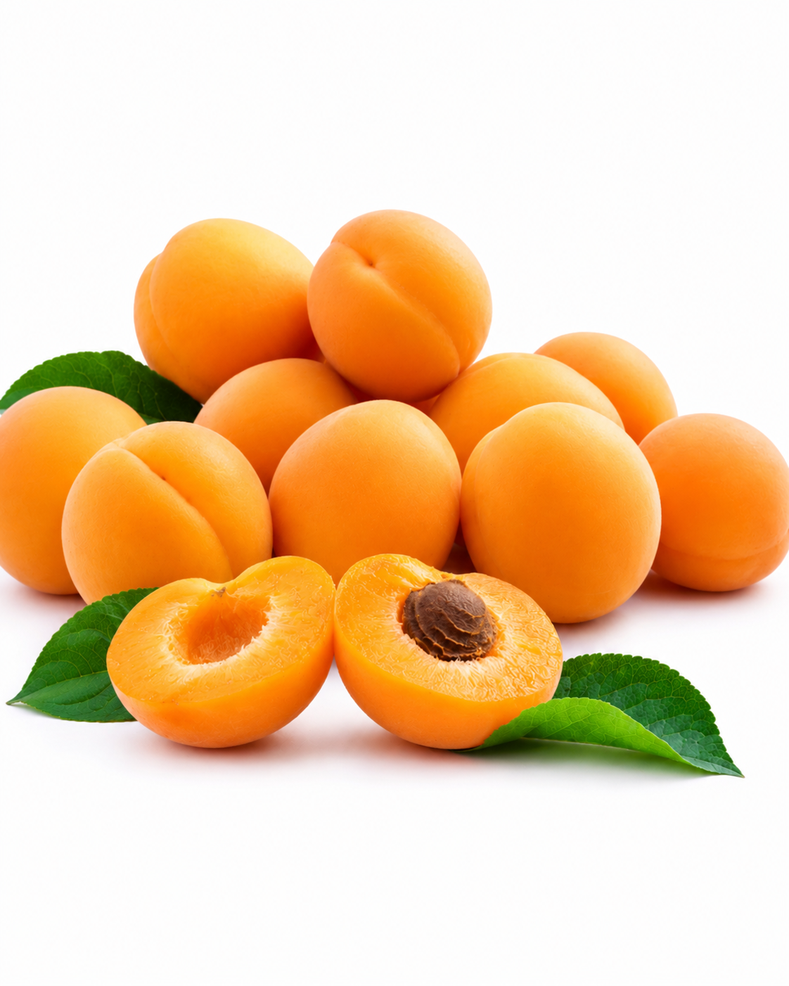 APRICOT FRUIT TREE 10LT