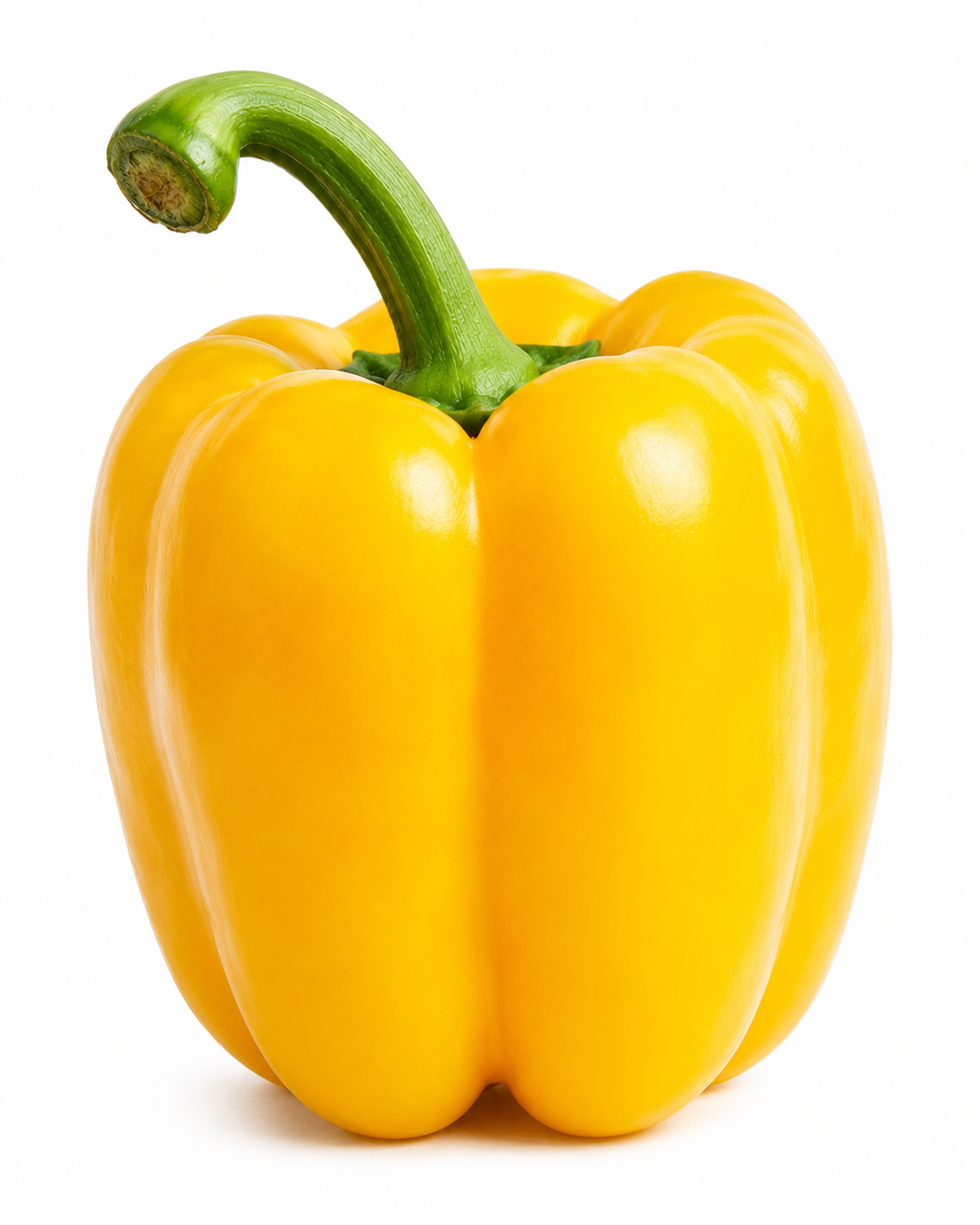 YELLOW PEPPER SWEET 6 PACK
