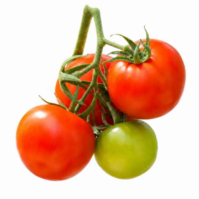 TOMATO 6 PACK