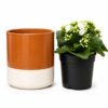 COVER POT DIP-DYE CYLINDER PLANTER D17 - Image 3