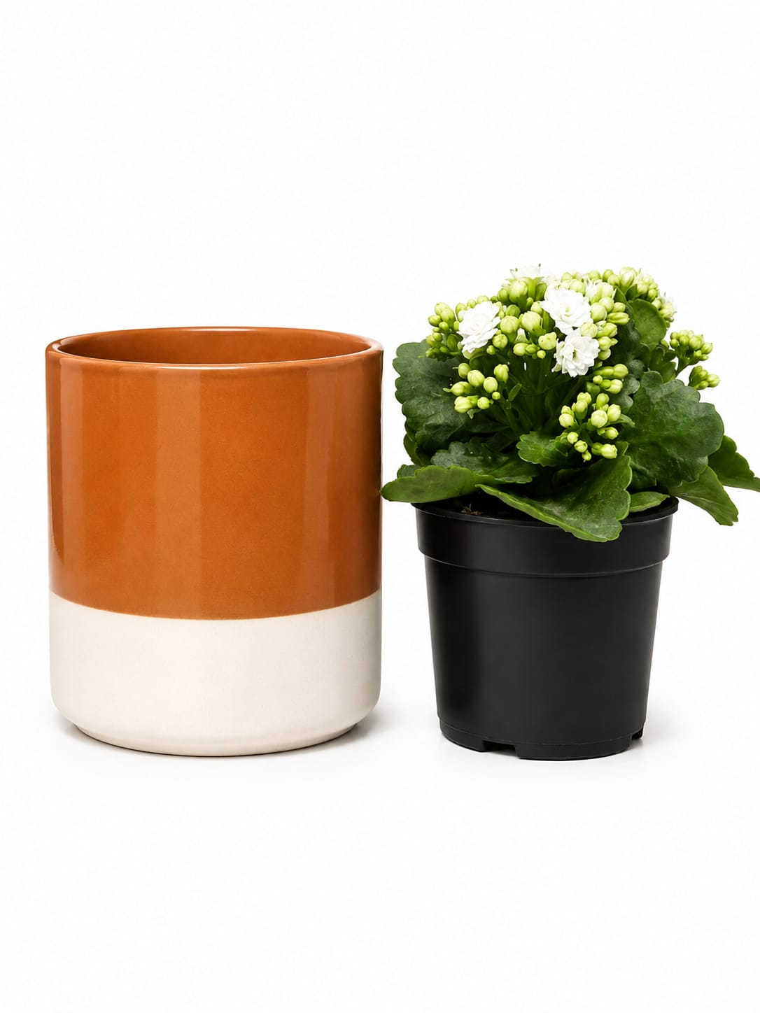 COVER POT DIP-DYE CYLINDER PLANTER D17 - Image 3