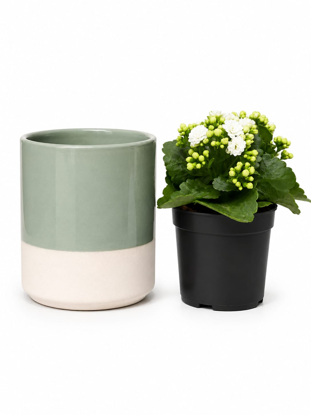 COVER POT DIP-DYE CYLINDER PLANTER D17 - Image 2