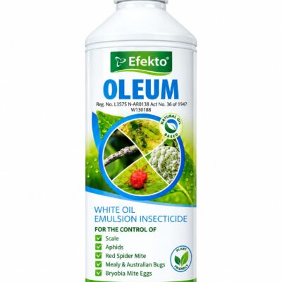 EFEKTO OLEUM 500ML