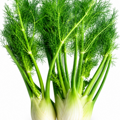 FENNEL 6 PACK